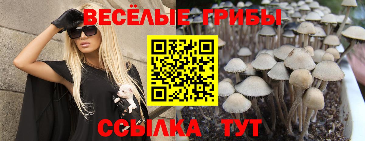 Электрогорск  Псилоцибиновые грибы прущие грибы  Вход с VPN  Псилоцибиновые грибы Magic Shrooms 